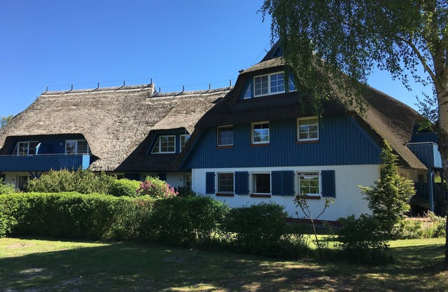 comfortable ground floor apartment; Reed - south facing; Terrace; familienfrdl .; calm
