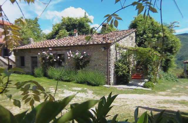 Comfy home in San Godenzo with Lake nearby