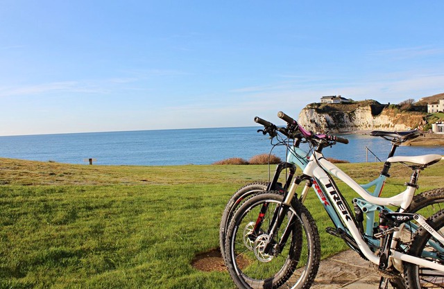 Contemporary 2 bedroom beachside apartment looking out over Freshwater Bay