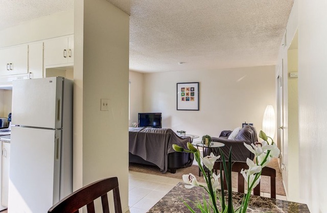 Cosy Berkeley Apartments Close to UC Berkeley