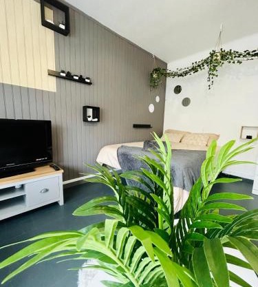Cosy - Studio Plage & Soleil