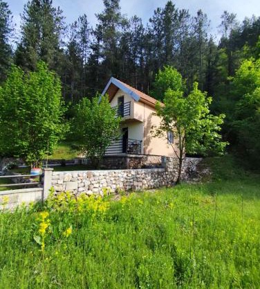 Cottage in nature of Cetinje