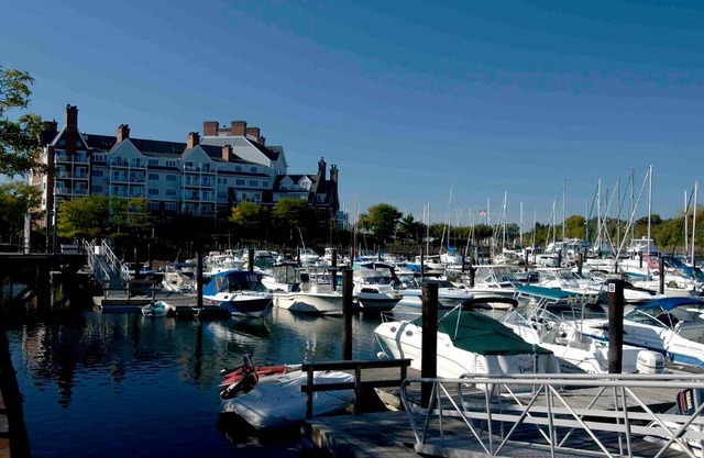 Courtyard by Marriott Stamford Downtown