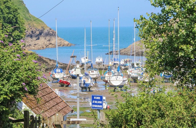 Cove View