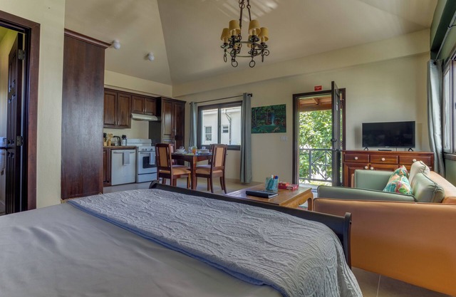Cozy Apartment in Hopkins, Belize, Cozy Apartment Studio in Hopkins Belize