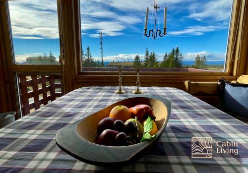 Cozy apartment with a view and ski inout Hafjell
