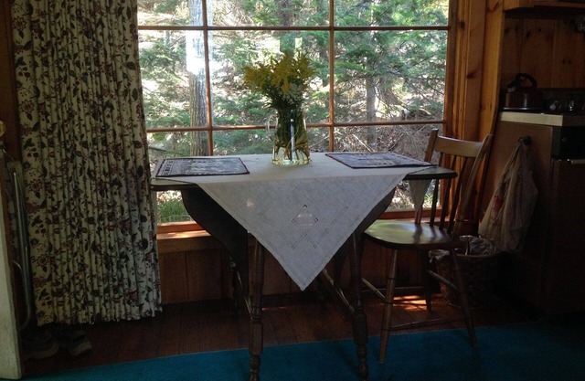 ~ Cozy Cabin in the woods On Penobscot Bay Right Near the water ~