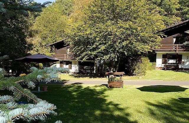 Cozy chalet with fireplace, located in wooded area