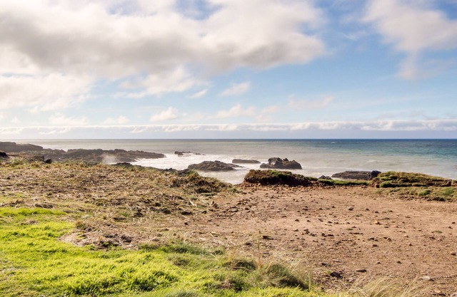 Cozy dog-friendly condo with loft near the beach! Enjoy ocean views & more!