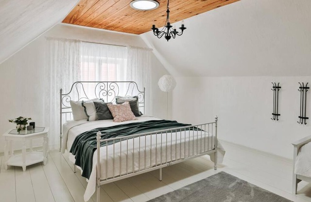 Cozy Guesthouse in Tartu