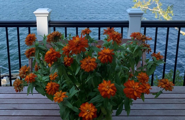 Cozy Winnipesaukee private direct waterfront home!