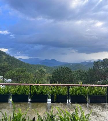 Cuc ku homestay