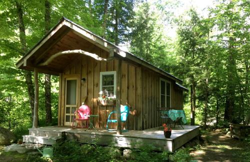 Custom Cabin Surrounded by River in Newfane, Vermont