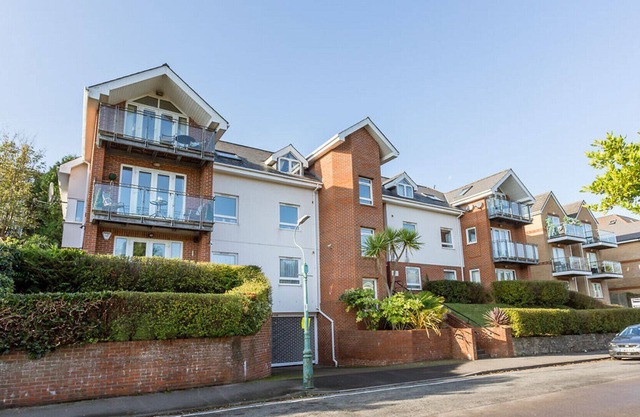 Daintree - Bournemouth