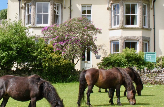 Dartmoor House B&B