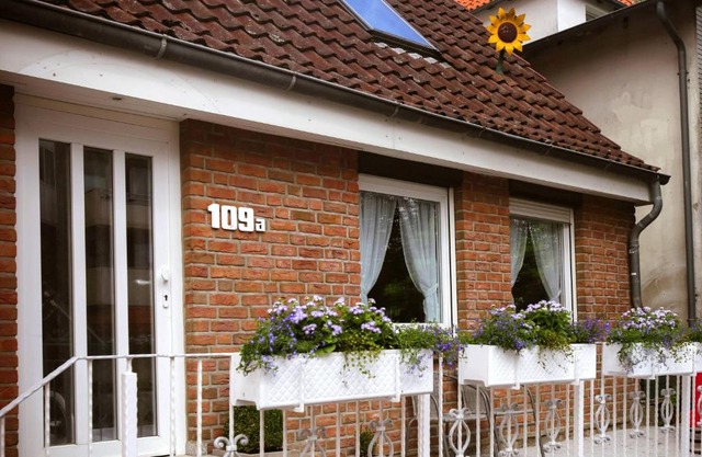 Das Sonnenblumenhaus