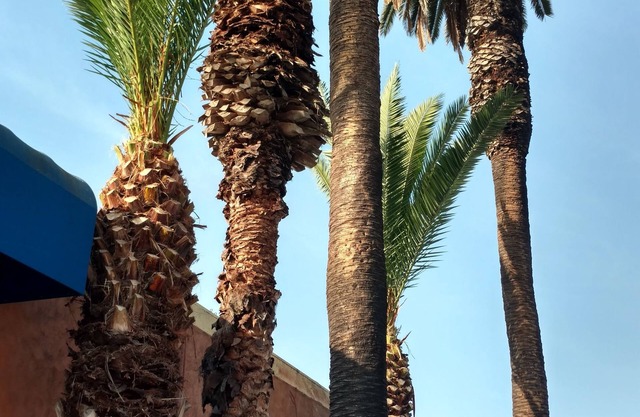 Days Inn by Wyndham Los Angeles Stadium Area/LAX