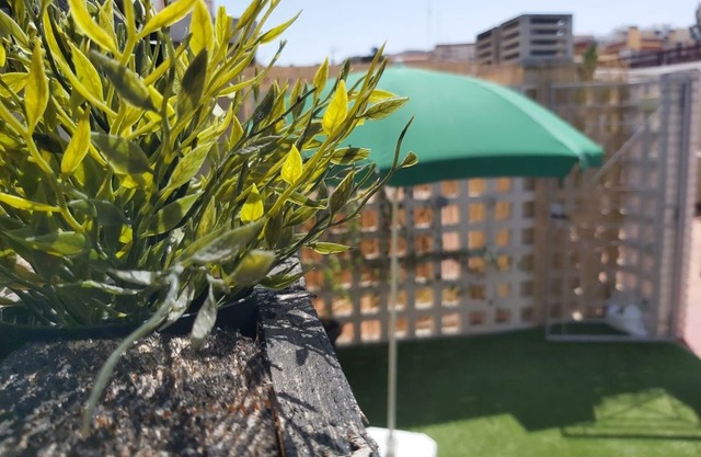 Del Parque Flats Estudio Solarium Molinillo