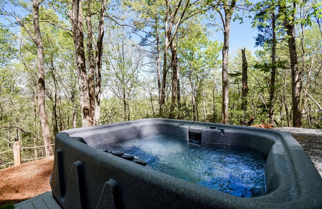 Designer hideaway in secluded location w/ amazing mountain-forest-view-Dogs ok