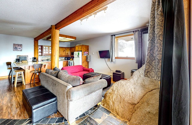 Dog-friendly condo free WiFi, washer/dryer, gas stove, & balcony - walk to lifts