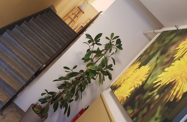 Easy-Living Apartments Lindenstrasse 21