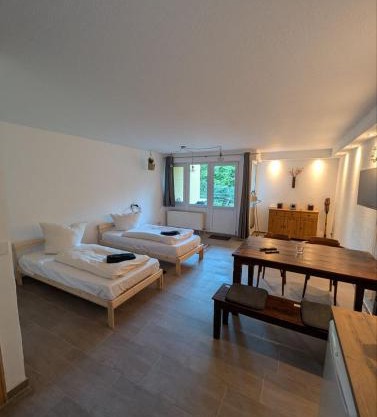 Eigenes ruhiges Appartement mit Küche und Terasse Chemnitz