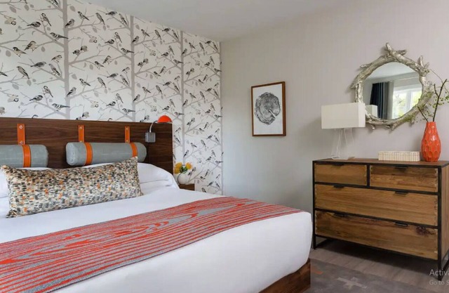Enjoy Nature & Town | Stay in Style at Field Guide Lodge, Close to Everything