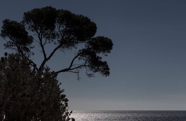 Exceptional villa for rent on the Mediterranean coast.