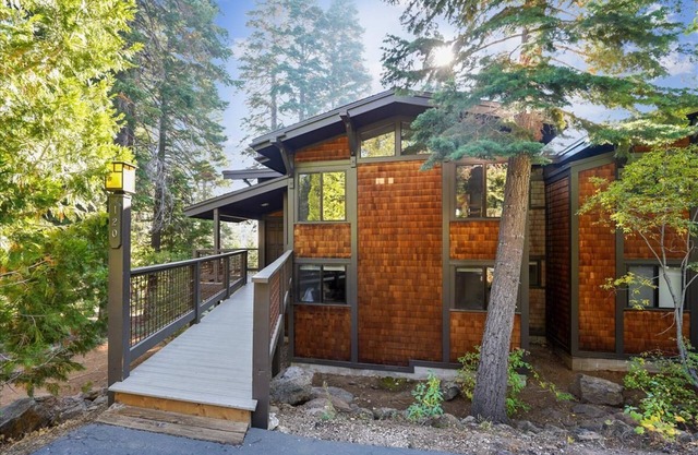 Fantastic Forest Setting Rocky Ridge #120