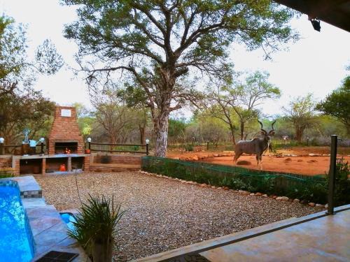 Flight of the Eagle @ Kruger