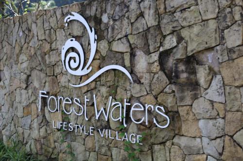 Forest-Riversend