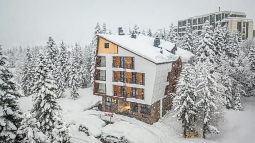 Forest Villa