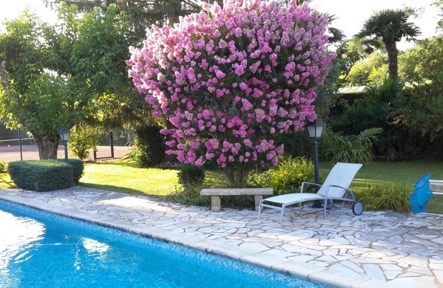 Gîte du Gecko