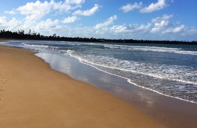 Garden beach apartment, fully equipped, nearby El Yunque Rainforest.
