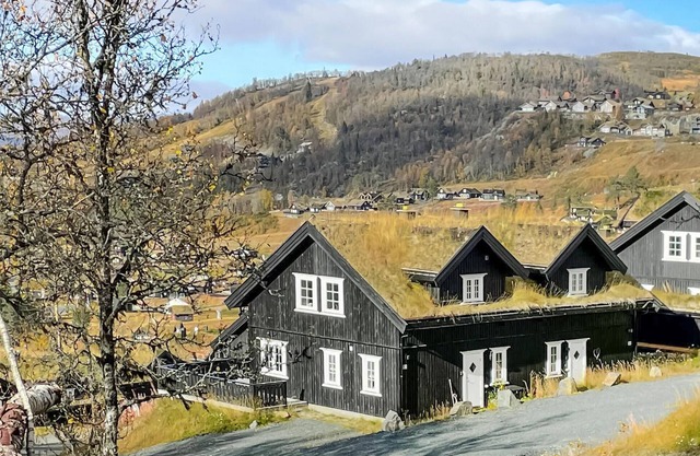 Gorgeous home in Rauland with WiFi