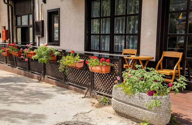 Guest House Vijecnica