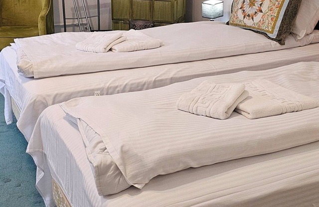 Guesthouse Casa Baciu