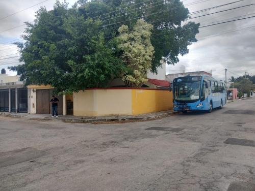 hermosa residencia tres recamaras con aire acondicionado independientes con siete camas matrimoniales hamacas piscina bar terrazas árboles excelente ubicación totalmente bardeada internet y televisión en toda la casa