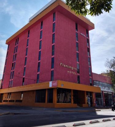 Hotel Flamingos