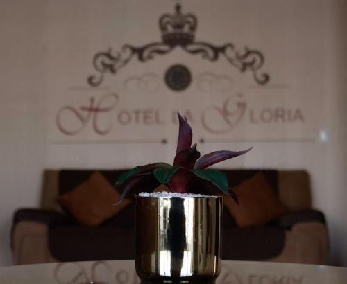 Hotel La Gloria