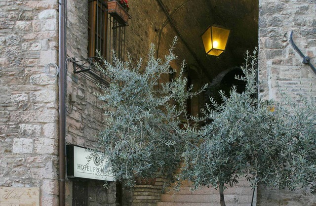 Hotel Properzio