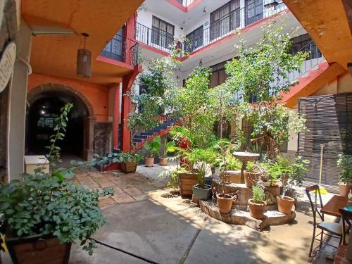 HOTEL SARITA & APARTAMENTOS CENTRO histórico