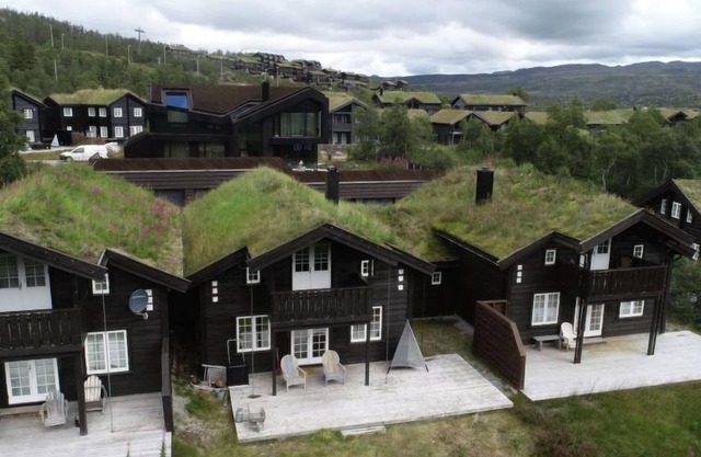 Hovden by Interhome