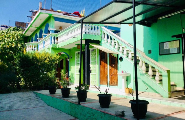 Iguana Hostel