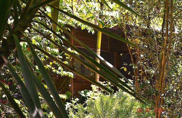 Iguana Roost for explorers, families or travelers Welcome to The Tropical Acre