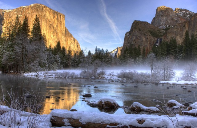 Inside Yosemite Mountain Beauty
