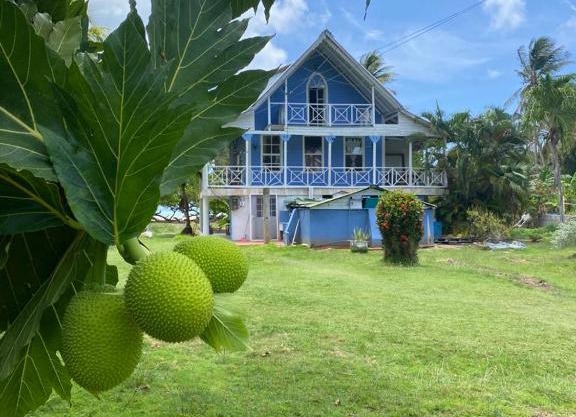 Islander House on Rocky Cay Beach