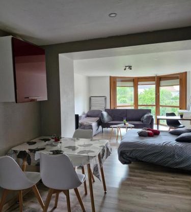 Joli studio une pièce 15min à pied centre dEpinal 4 personnes grâce au canapé lit, parking privé gratuit et parking extérieur gratuit Machine à laver TV wifi machine à café linge de lit et serviettes fournis