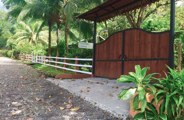 Jungle and river view cabin., lowest nightly rates!