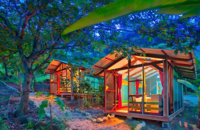 Jungle's Edge: Jiu-Jitsu, Muay Thai & Yoga Retreats